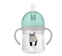 Neo10Ten Leakproof Sippy Cup for Toddlers, Baby Bottle with Straw and Lid, Weighted Straw Sippy Cups for 6 Months, Non-Spill, BPA Free Toddler Water Bottle [Green 250ml]