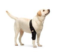 NeoAlly Dog Elbow Brace Protector Pads for Canine Elbow and Shoulder Support Elbow Hygroma, Dysplasia, Osteoarthritis, Elbow Calluses, Pressure Sores and Shoulder Dislocation (Right Leg, X-Large)