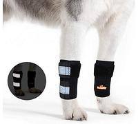 NeoAlly Front Leg Brace for Dog & Cat, Canine Carpal Support with Safety Reflective Straps for Front Hock Injury Prevention, Joint Pain and Loss of Stability from Arthritis (XXS/XS Pair)