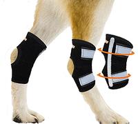 NeoAlly Super Supportive Dog Braces for Rear Leg and Hock Joint with Dual Metal Spring Strips Stabilize Canine hind Legs from Wound, Injury, Sprains, Arthritis