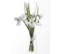 Neofleur 2 x Tied Bunches Pretty Artificial Silk Double Snowdrops Flowers Spring Snow Drops 19cm tall 16 White Flower Heads