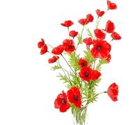 NEOFLEUR 80cm Wild Red Poppy Flower Stem with 9 Heads. Tall Artificial Meadow flower. Poppy, Poppies. (3)