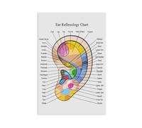 NEOHI Ear Reflexology Colour Anatomy Organ Massage Chart Knowledge Room Aesthetics Canvas Modern Poster Wall Art Prints Paintings Living Room Bedroom Decor 12x18inch(30x45cm)