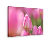 NEOHI Pink Tulip, Petals, Buds, Tulips Mood Healing Canvas Art Wall Decor Posters Home Bar Restaurant Garage Cafe Logo Gift 20x30inch(50x75cm)