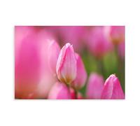 NEOHI Pink Tulip, Petals, Buds, Tulips Mood Healing Canvas Wall Art Posters And Prints Room Aesthetic Bedroom Office Decor 24x36inch(60x90cm)