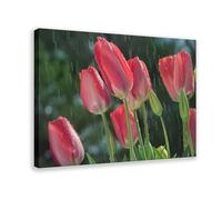 NEOHI Pink Tulips, Spring, Dew, Water Drops Mood Healing Canvas Wall Art Posters And Prints Room Aesthetic Bedroom Office Decor 12x18inch(30x45cm)