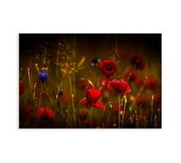 NEOHI Poppy, Wildflowers, Red Poppies, Red Flowers, Summer Mood Healing Canvas Modern Poster Wall Art Prints Paintings Living Room Bedroom Decor 12x18inch(30x45cm)