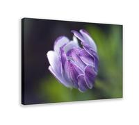 NEOHI Purple Flowers Mood Healing Canvas Wall Art Posters And Prints Room Aesthetic Bedroom Office Decor 24x36inch(60x90cm)
