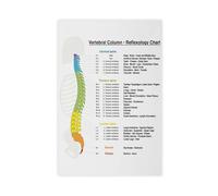 NEOHI Vertebral Column Spine Reflexology Organ Massage Anatomy Chart Knowledge Room Aesthetics Canvas Modern Poster Wall Art Prints Paintings Living Room Bedroom Decor 12x18inch(30x45cm)