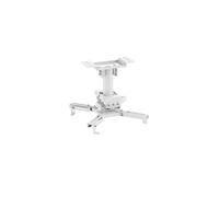 Neomounts CL25-530WH1 Projector Ceiling Mount, White