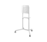 Neomounts NS-M1250W Mobile Stand Mobile floor stand for screens ranging from 37 to 70 inches.
