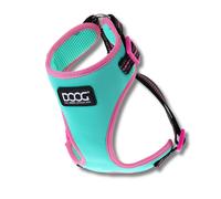 Neon Harness - Rin Tin Tin - Small DOOG Green S