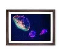 Neon Jellyfish in Abstract Framed Print | A2 Walnut Framed Wall Art | Ready to Hang | Abstract Fantasy Picture | Living Room Bedroom Lounge Office