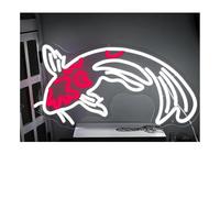 Neon light For neon Sign Fish Carp Koi, Dimmable Powered Panel Light(C)