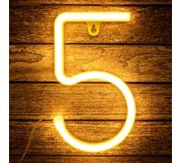 Neon Number 5 Light, 22cm Warm White Number Light Sign for Birthday Party Anniversary Christmas Wedding