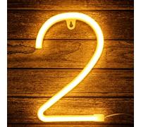 Neon Number Light, 22cm Warm White Light up Number, Gift for Birthday
