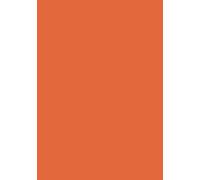 Neon Orange Designer Notebook, A5, Plain, 150 Pages, 90GSM, White Blank Pages: Draw, Sketch & Organise Your Life in True Designer Style