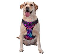 Neon Rainbow Leopard Print No Pull Dog Harness Adjustable Reflective Oxford Easy Control Medium Large Dog Harness