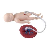 Neonatal Umbilical Cord and Placenta Model for Obstetrics and Gynecology Education - Anatomical Baby Manikin with Realistic Features