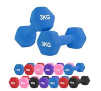 Neoprene Dumbbell - Cast Iron Core Hex Shape Hand Weight with Anti-Slip Grip, Durable Rubber Coating for Strength Training, Home Gym, Fitness & Aerobic Exercise (0.5-10 kg) (3Kg Pair-Blue)