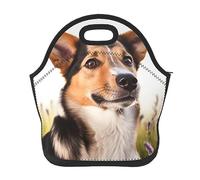 Neoprene Lunch Bags Dog Printed Insulated Lunch Tote Bag Reusable Thermal Cooler Lunch Container Box for Work Travel Picnic