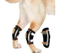 NeoSportsLab Dog Brace Metal Spring Inserts - Rear Hock, Black, X-Large