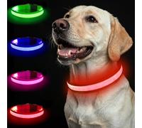 Nepfaivy Light Up Dog Collar - Flashing Dog Collar Lights for The Dark, Rechargeable LED Collars with 3 Glow Modes for Small Medium and Large Dogs (Red-M)