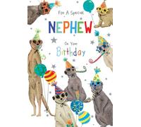 Nephew Birthday Card Meerkats 9" x 6" Lovely Verse