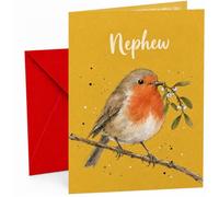 Nephew Christmas Card with Robin and Mistletoe Branch