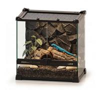 NEPTONION 12"x8"x12" Reptile Terrarium, Double-Door Glass Arboreal Vivarium for Small Climbing Lizards Such as Juvenile Agamas, with Lock, Cable Port & Waterproof Deep Base Below Front Doors