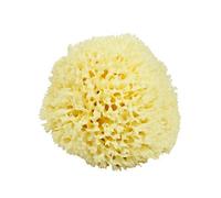 Neptune Natural Renewable Sea Wool Sponge, Hand Cut, Large, Approx. 6-7"