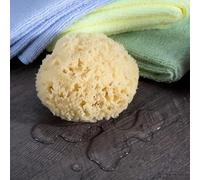 Neptune Natural Sea Wool Sponge - All Natural Honeycomb Renewable Sea Sponge, Medium, 3.5-4.5 inches