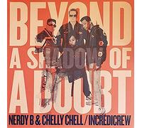 Nerdy B & Chelly Chell - Beyond a Shadow of Doubt [VINYL]