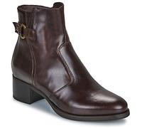 NeroGiardini Low Ankle Boots I513843D-300 in Brown 5