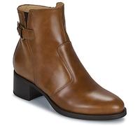 NeroGiardini Low Ankle Boots I513843D-400 in Brown 3