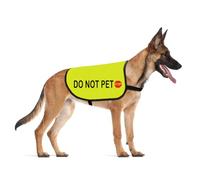 Nervous Dog Jacket Vest Service Dog Working Dog Anxious Dogs Scared Dogs Slogan Warning Vest (DO NOT PET Large)