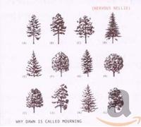 Nervous Nellie - Why Dawn Is Called Mourning
