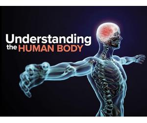 Nervous System-Autonomic Nervous System and Cranial Nerves