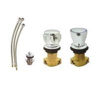Nes Home Chrome Brass Cold-Water Bidet Mixer Set with Bidet Spout Connection