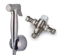 Chrome Douche With 1.2m Stainless Steel Hose & Mini Thermostatic Mixer Nes Home Silver One Size