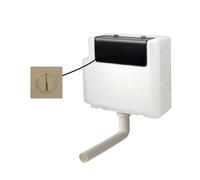 Nes Home Concealed Cistern Dual Flush Front Access Round Button Brushed Brass