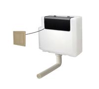 Nes Home Concealed Cistern Dual Flush Front Access Square Button Brushed Brass