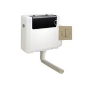 Nes Home Concealed Cistern Dual Flush Side Inlet Round Button Brushed Brass