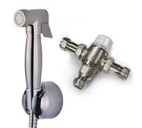 Nes Home Douche With 1.2M Stainless Steel Hose & Mini Thermostatic Mixer Chrome