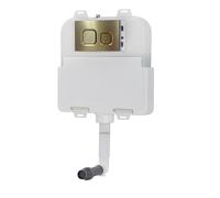 Nes Home Dual Flush Concealed Cistern and Brushed Brass Push Button