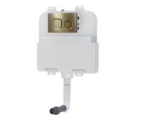 Nes Home Dual Flush Concealed Cistern And Brushed Brass Push Button