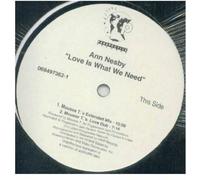 Nesby, Ann - Love Is What We Need [12" VINYL] [12" VINYL]
