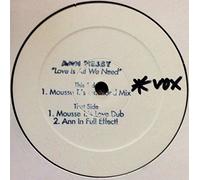 Nesby Ann - Love Is What We Need [12" VINYL]