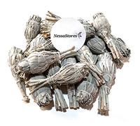 NessaStores 12 California White Sage Smudge Sticks, 3 to 4 Inch Hand Tied, All Natural for Home Cleansing, Stress Relief, & Clearing Negative Energy JC-005