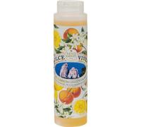 Nesti Dante Firenze Skin care Dolce Vivere Capri Shower Gel